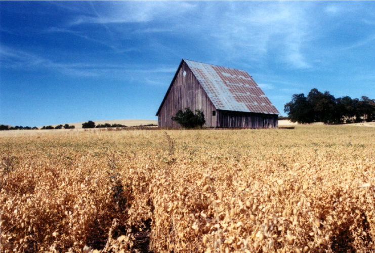 09Farm East of Walla Walla